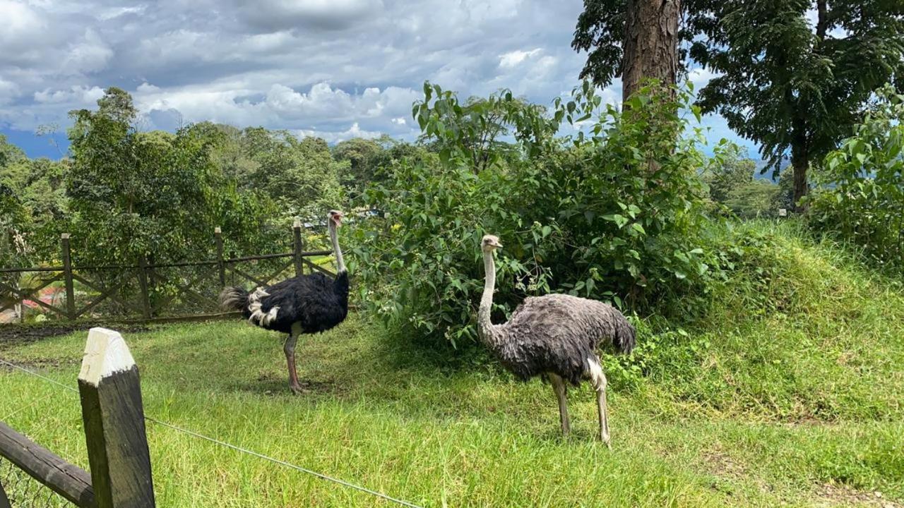 拉米萨 Rancho Ecoturistico El Faro酒店 外观 照片