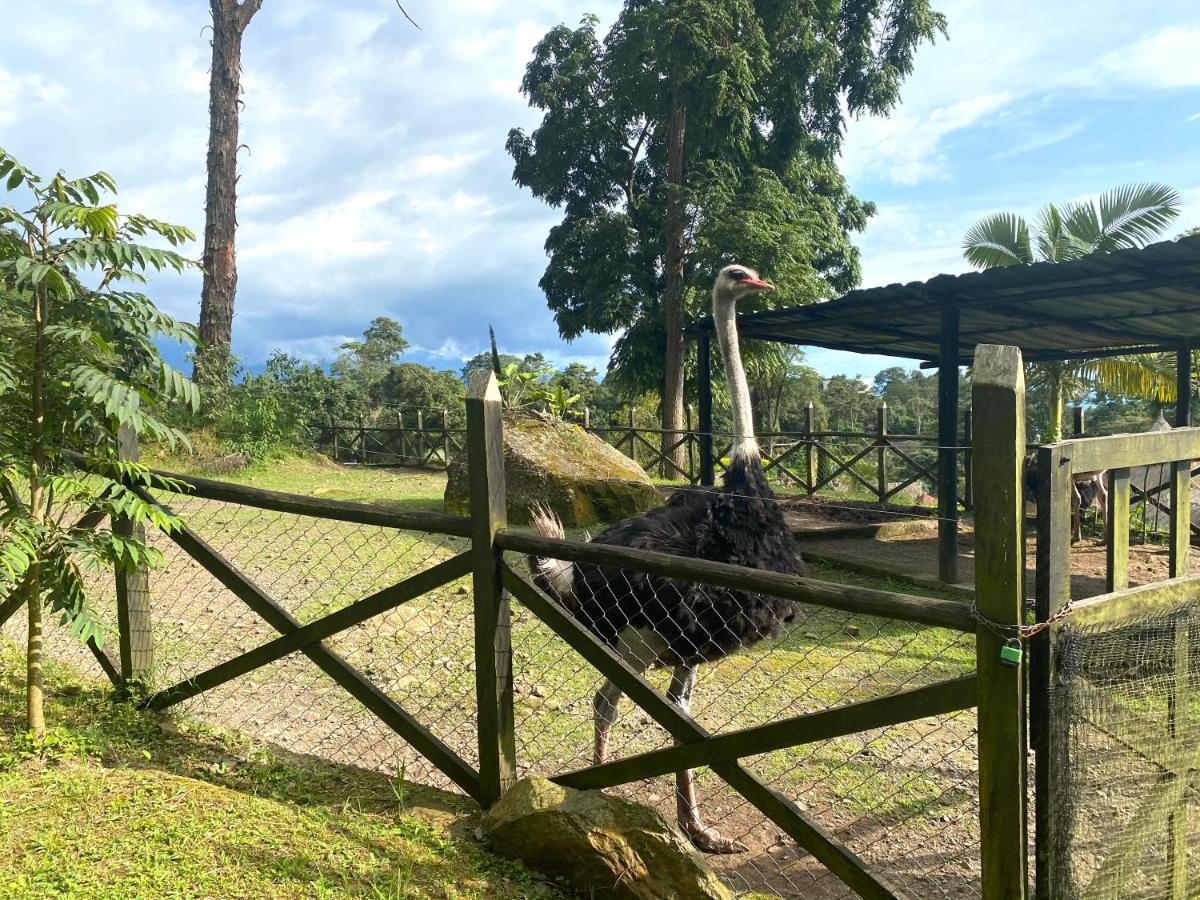 拉米萨 Rancho Ecoturistico El Faro酒店 外观 照片