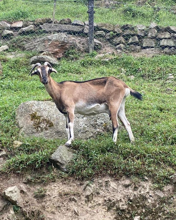 拉米萨 Rancho Ecoturistico El Faro酒店 外观 照片