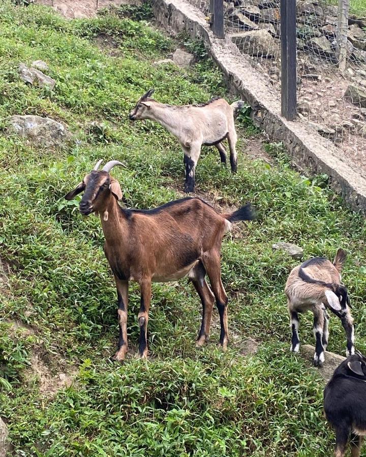 拉米萨 Rancho Ecoturistico El Faro酒店 外观 照片